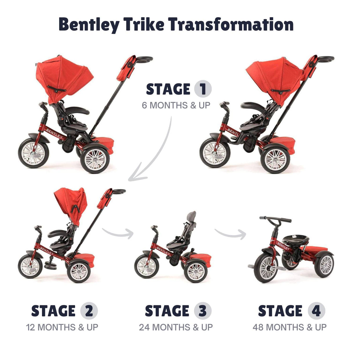 Bentley 6-in-1 Adjustable Trike with FREE Cup Holder