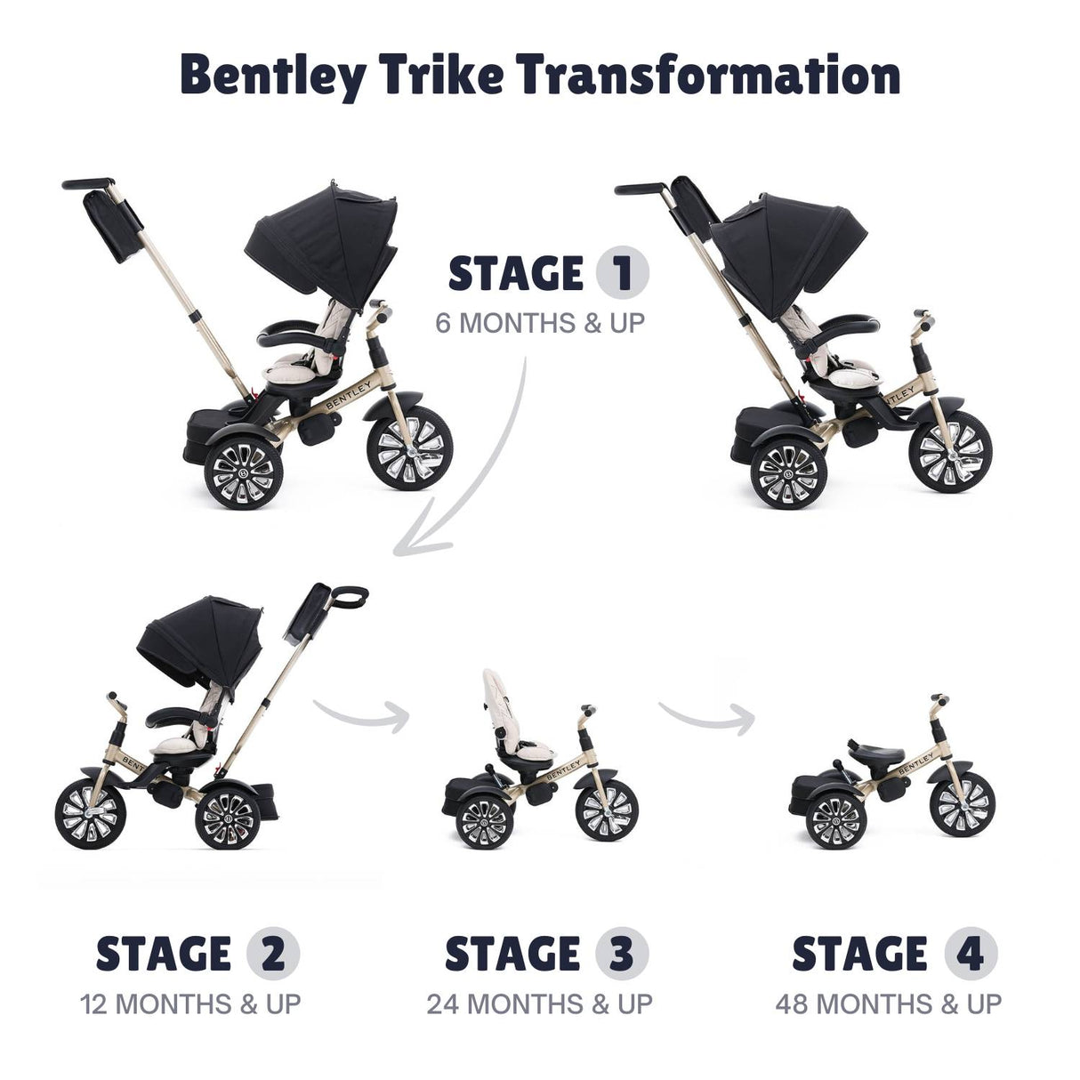 Bentley 6-in-1 Adjustable Trike with FREE Cup Holder