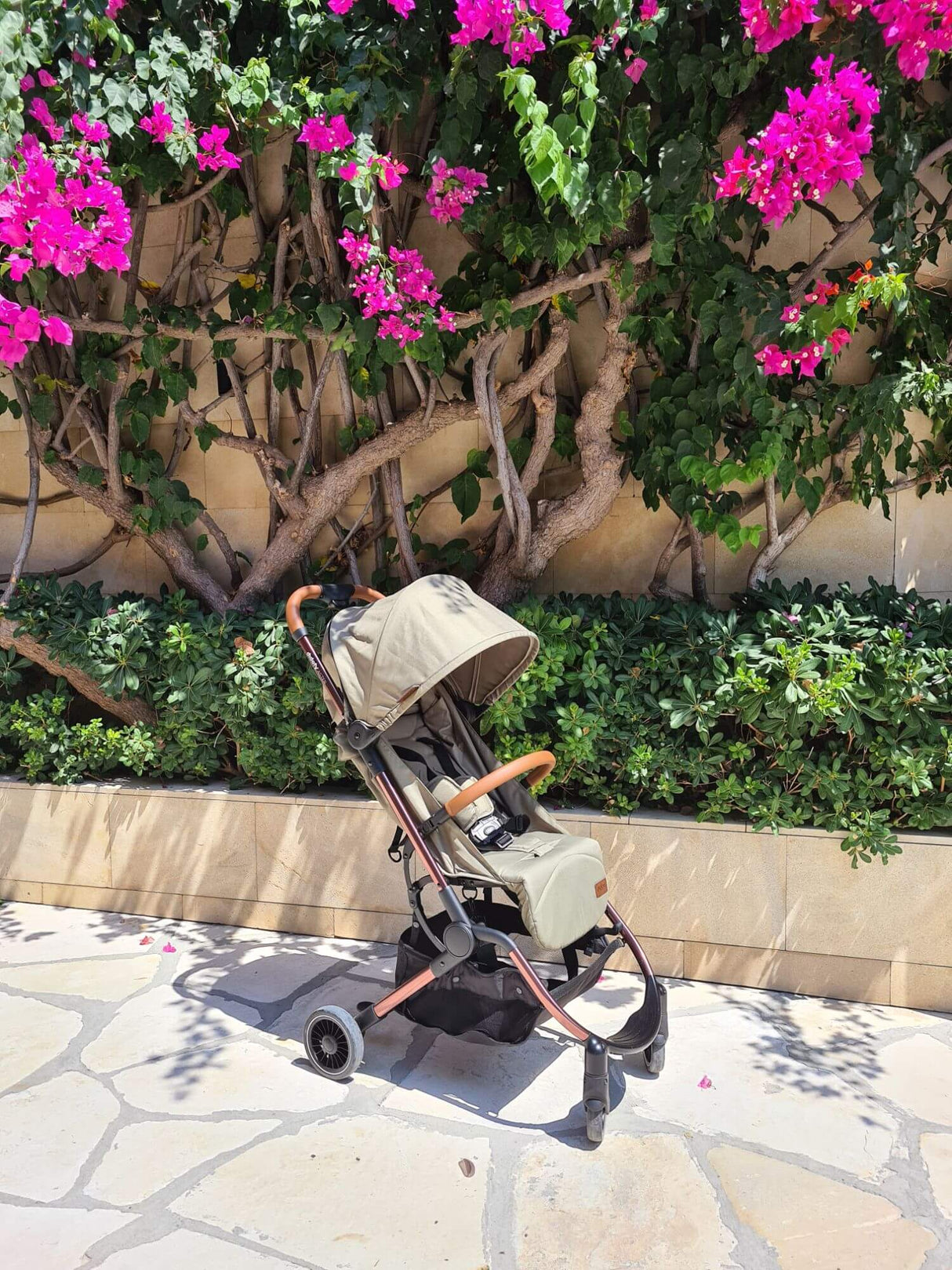 Didofy Aster 2 Compact Stroller