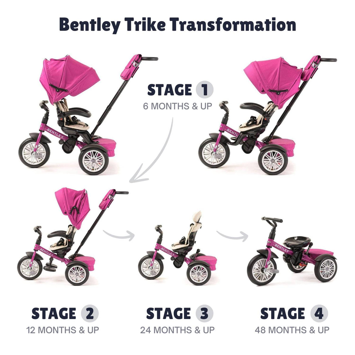 Bentley 6-in-1 Adjustable Trike with FREE Cup Holder